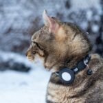 best pet monitoring devices