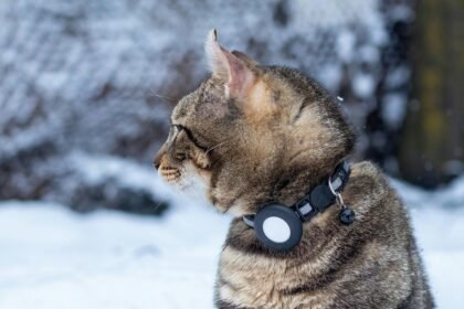 best pet monitoring devices